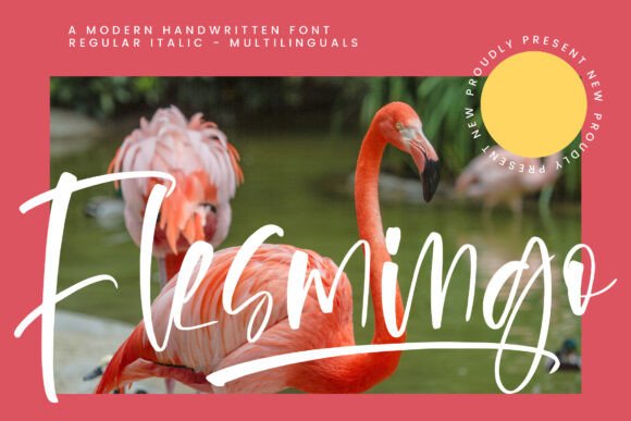 Flesmingo Font: Elevating Campaign Visuals with Elegant Script