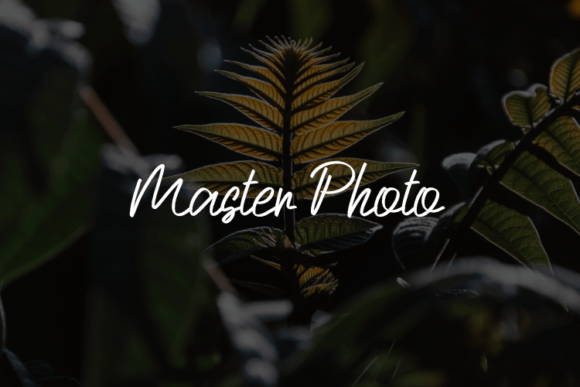 Master Photo Font: Editorial Versatility for Creators