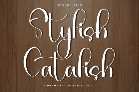 Stylish Catalish Font: Festive Typography for Web Design
